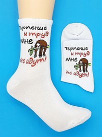 CS-113 "Терпение и труд, мне не идут!"