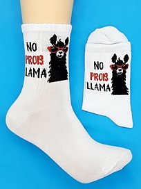 CS-114 "NoProbLlama"