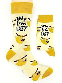 CS-392 Ленивцы "Why I'm Lazy"