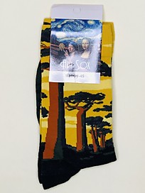 AS-249 Роза баобаб на закате