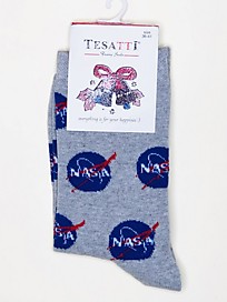 TS-019 NASA на сером